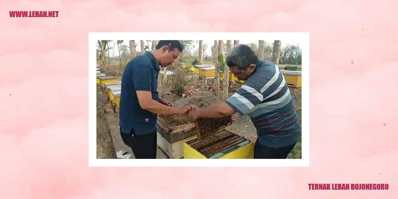 ternak lebah bojonegoro