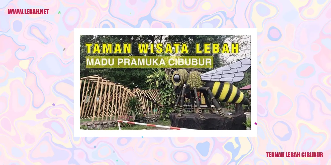 ternak lebah cibubur