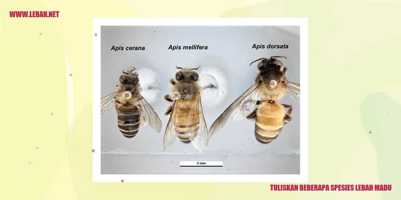 Lebah Apis mellifera