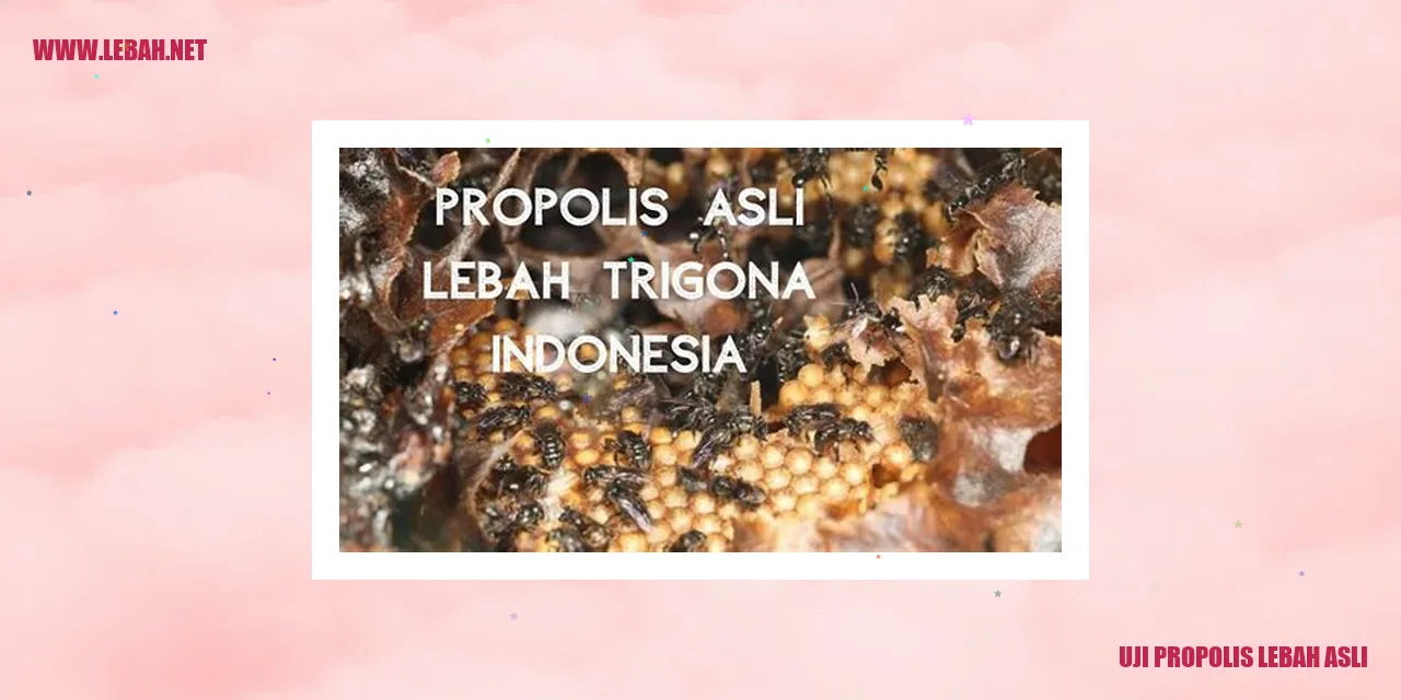 uji propolis lebah asli