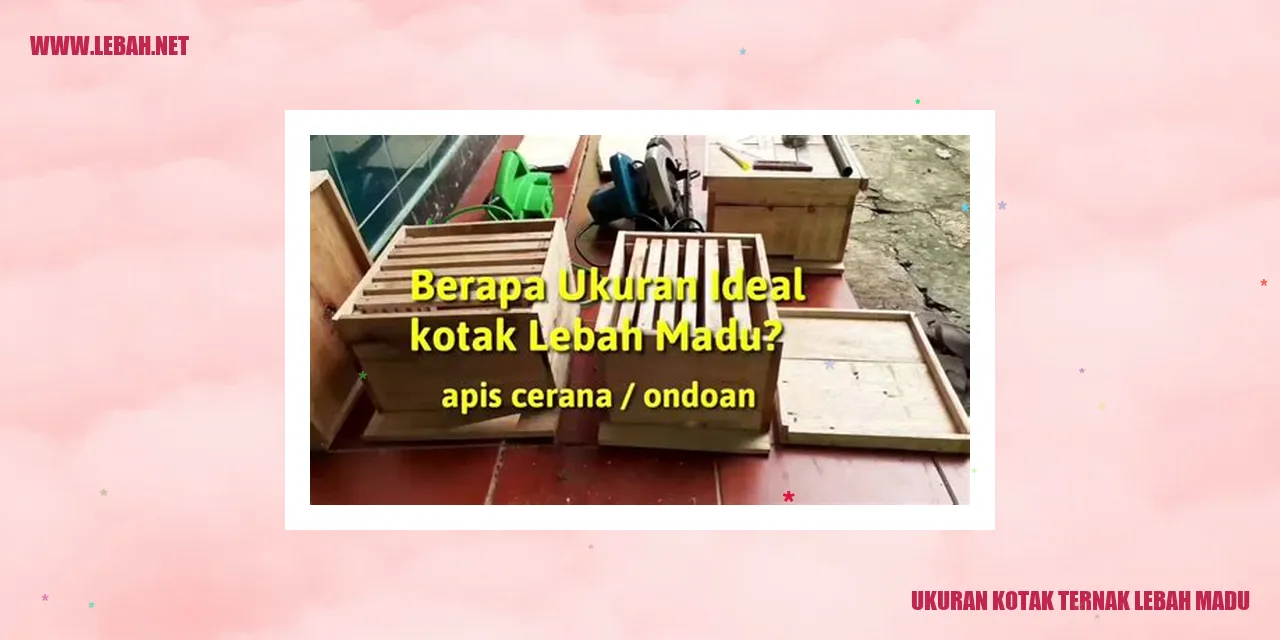 Ukuran Kotak Ternak Lebah Madu