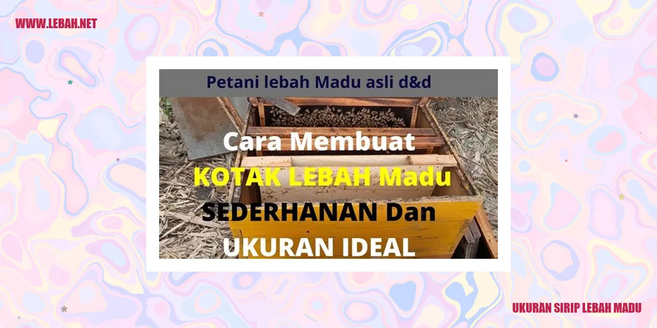 Ukuran Sirip Lebah Madu