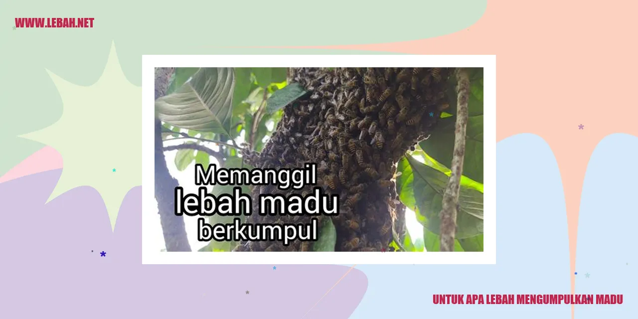 untuk apa lebah mengumpulkan madu