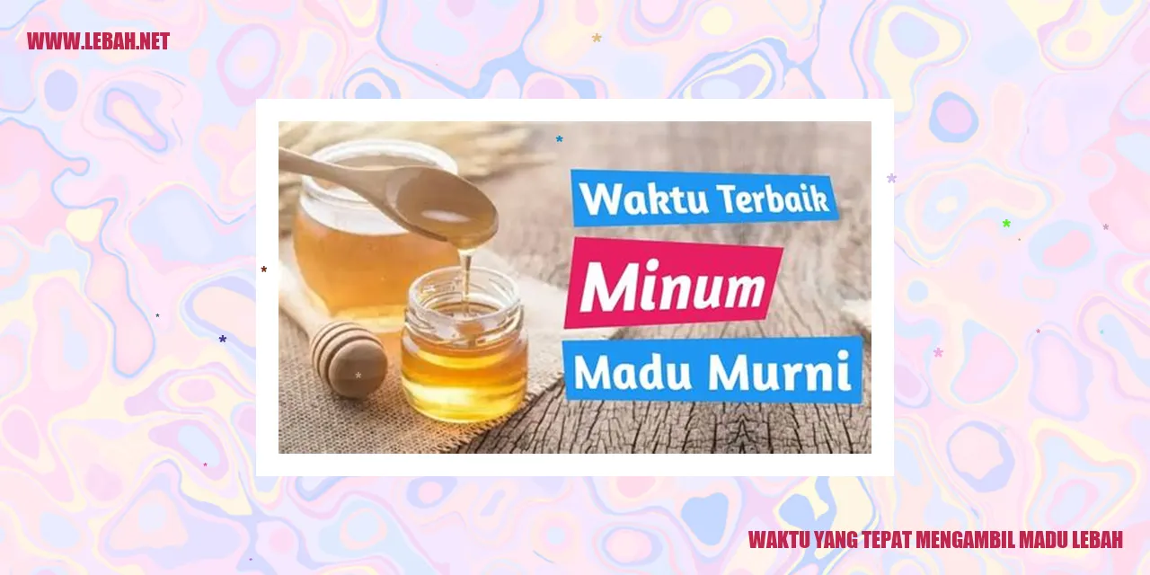 waktu yang tepat mengambil madu lebah